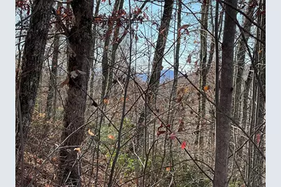 Lots Ash Branch View, Hayesville, NC 28904 - Photo 5