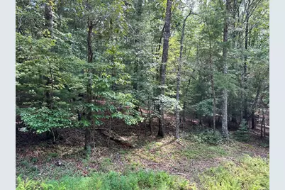 0 Sheep Knob, Murphy, NC 28906 - Photo 11