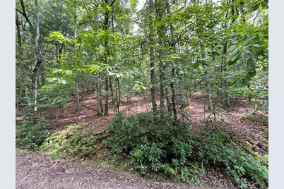 0 Sheep Knob, Murphy, NC 28906 - Photo 5