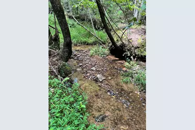 0 Sheep Knob, Murphy, NC 28906 - Photo 1