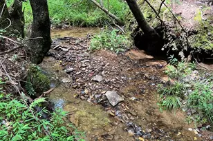0 Sheep Knob, Murphy, NC 28906 - Photo 1