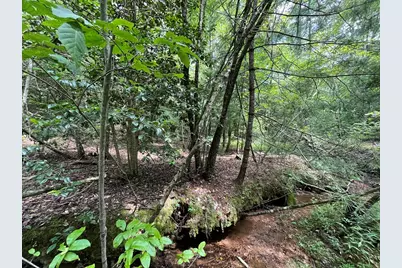 0 Sheep Knob, Murphy, NC 28906 - Photo 13