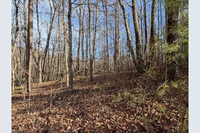 Lot 20 Wilderness Creek Way, Murphy, NC 28906 - Photo 15