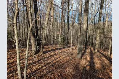 Lot 20 Wilderness Creek Way, Murphy, NC 28906 - Photo 21