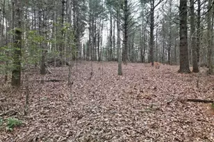 Lot #29 Liberty Rd, Murphy, NC 28906 - Photo 1
