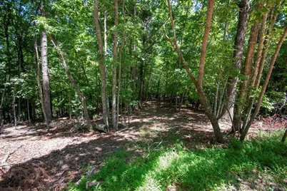 337 Simpson Mountain Road, Murphy, NC 28906 - Photo 29