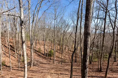 87 Tuscarora Trail, Murphy, NC 28906 - Photo 29