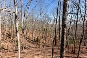 87 Tuscarora Trail, Murphy, NC 28906 - Photo 29