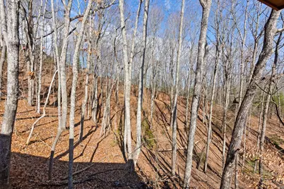 87 Tuscarora Trail, Murphy, NC 28906 - Photo 39