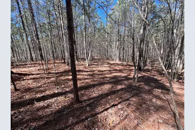 Lot 50 Deyton Drive, Blairsville, GA 30512 - Photo 15
