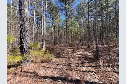 Lot 50 Deyton Drive, Blairsville, GA 30512 - Photo 5