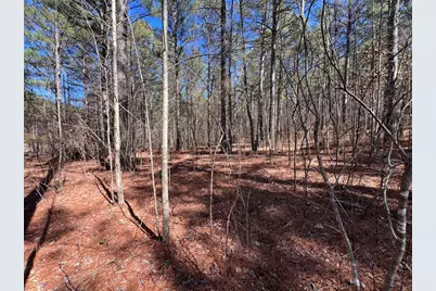 Lot 50 Deyton Drive, Blairsville, GA 30512 - Photo 9