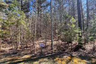 Lot 50 Deyton Dr, Blairsville, GA 30512 - Photo 1