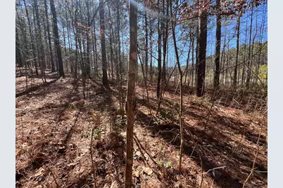 Lot 50 Deyton Drive, Blairsville, GA 30512 - Photo 13