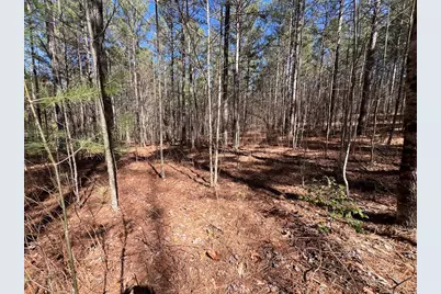 Lot 50 Deyton Drive, Blairsville, GA 30512 - Photo 11