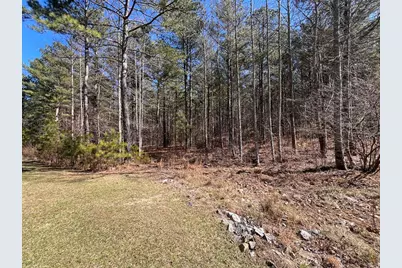 Lot 50 Deyton Drive, Blairsville, GA 30512 - Photo 3