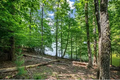 Lot 25 Talon Trace, Blairsville, GA 30512 - Photo 9