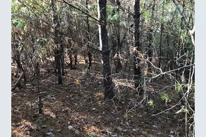 19D&e Braves Landing, Murphy, NC 28906 - Photo 5