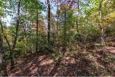 Lot 38 Skyview At Wildlife Acres, Hayesville, NC 28904 - Photo 9