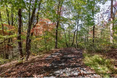 Lot 38 Skyview At Wildlife Acres, Hayesville, NC 28904 - Photo 7