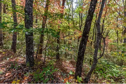 Lot 38 Skyview At Wildlife Acres, Hayesville, NC 28904 - Photo 13