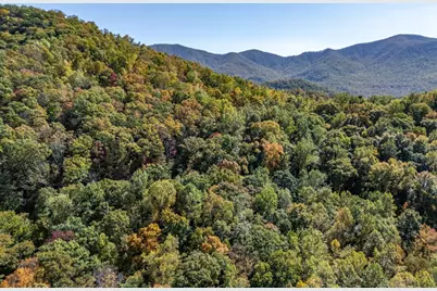 Lot 38 Skyview At Wildlife Acres, Hayesville, NC 28904 - Photo 27
