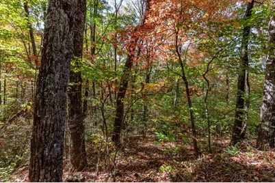 Lot 38 Skyview At Wildlife Acres, Hayesville, NC 28904 - Photo 15