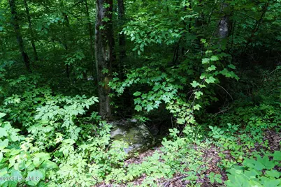 Lot J1 Georgianna Lane, Bryson City, NC 28713 - Photo 21