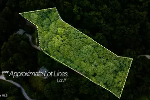 Lot J1 Georgianna Ln, Bryson City, NC 28713 - Photo 1
