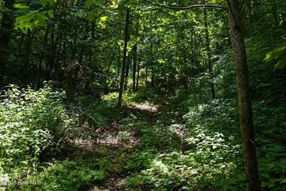 Lot Off Buck Naked Road, Bryson City, NC 28713 - Photo 7
