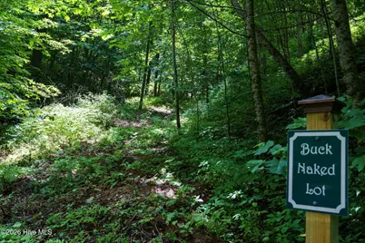 Lot Off Buck Naked Road, Bryson City, NC 28713 - Photo 3