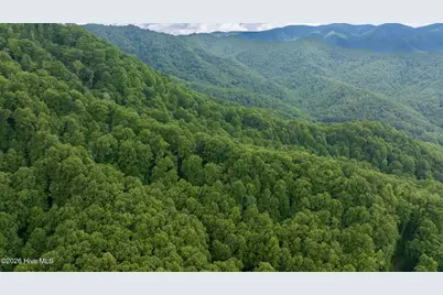 Lot Off Buck Naked Road, Bryson City, NC 28713 - Photo 19