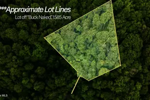 Lot Off Buck Naked Rd, Bryson City, NC 28713 - Photo 1