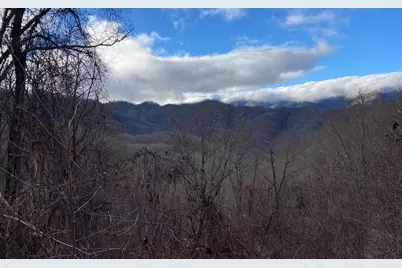 Lot Off Buck Naked Road, Bryson City, NC 28713 - Photo 21