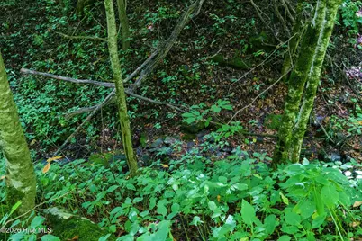Lot Off Buck Naked Road, Bryson City, NC 28713 - Photo 9