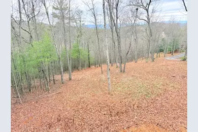 560 Carolina Fox Circle, Murphy, NC 28906 - Photo 33