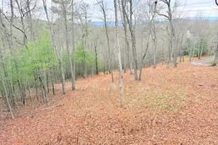 560 Carolina Fox Cir, Murphy, NC 28906 - Photo 33