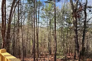 99 Noelles Pass, Murphy, NC 28906 - Photo 27