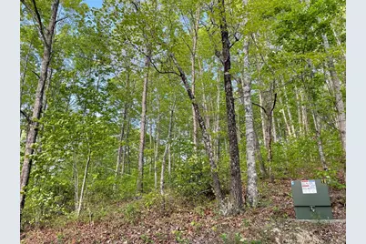 N/A Trillium Heights, Hayesville, NC 28904 - Photo 3