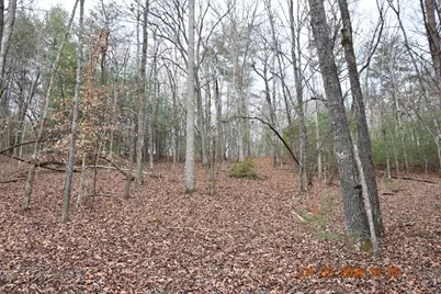 167 Swaims, Hayesville, NC 28904 - Photo 39