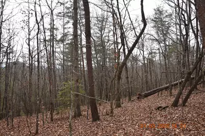 167 Swaims, Hayesville, NC 28904 - Photo 47