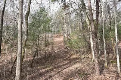 167 Swaims, Hayesville, NC 28904 - Photo 29