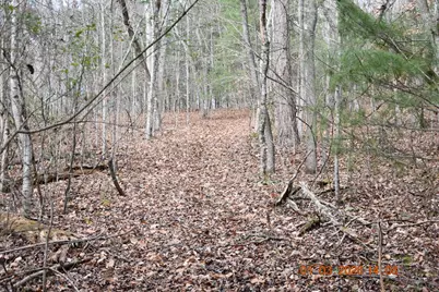 167 Swaims, Hayesville, NC 28904 - Photo 63