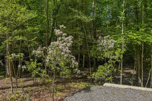 1254 Friendship Church Rd, Murphy, NC 28906 - Photo 43