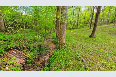 118 Ringtail Run, Murphy, NC 28906 - Photo 59