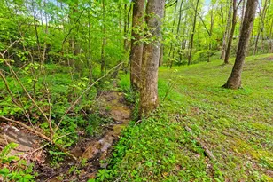 118 Ringtail Run, Murphy, NC 28906 - Photo 59