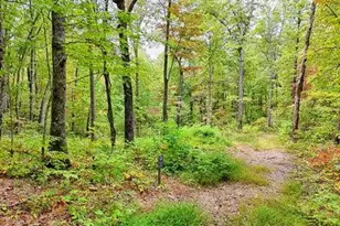 Lot 30 Skyview Dr, Hayesville, NC 28904 - Photo 1