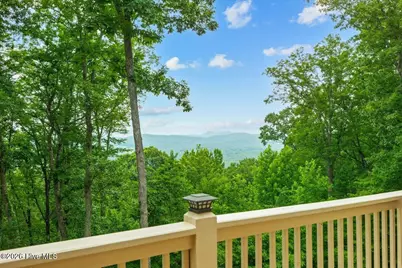 1706 Deer Valley Drive, Warne, NC 28909 - Photo 7