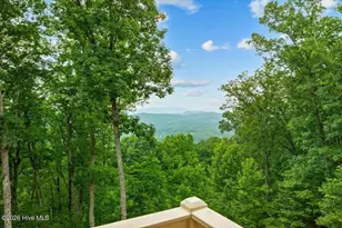 1706 Deer Valley Dr, Warne, NC 28909 - Photo 9