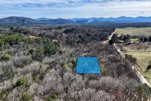 1852 Hwy 325, Blairsville, GA 30512 - Photo 53